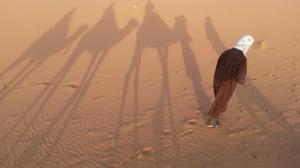 Kamel Schatten
